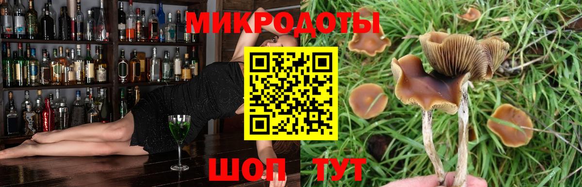 Галлюциногенные грибы прущие грибы  Псилоцибиновые грибы мухоморы  Вход с VPN  сколько стоит  Нефтекумск 
